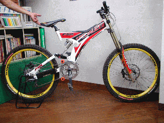 specialized dh team