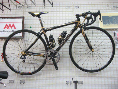 GIANT TCR COMPOSIT GOLD
